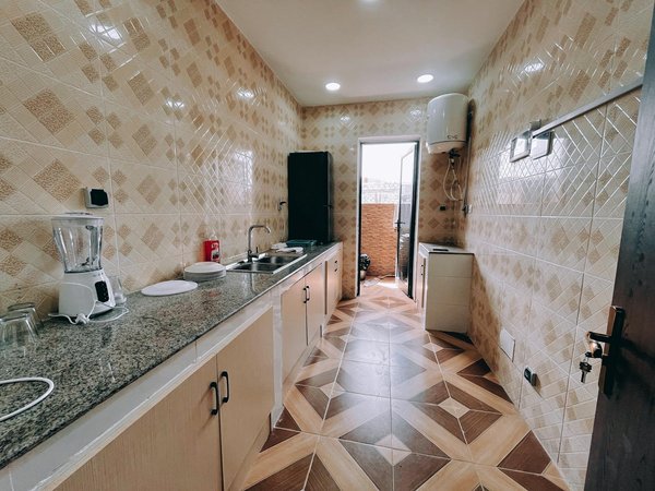 Top Strategies for Managing Slugs in Your UK Organic Garden: Effective Solutions for a Flourishing Space